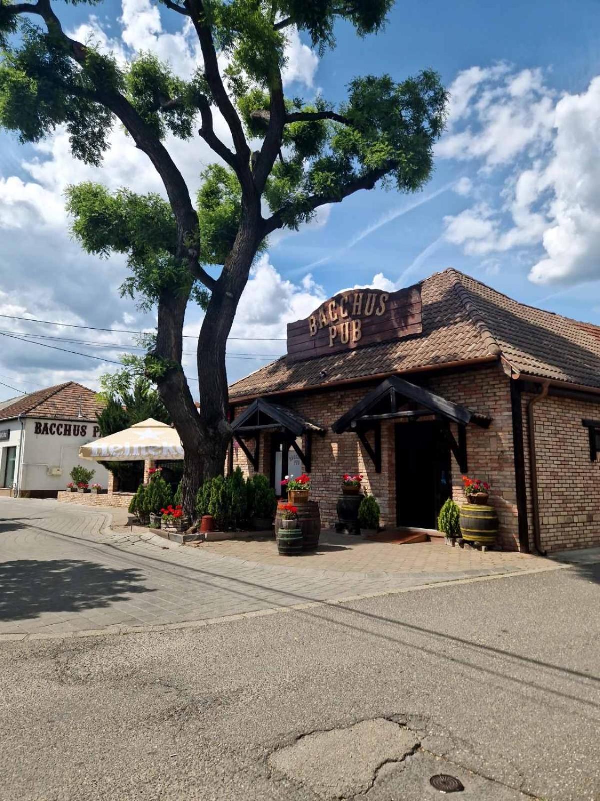 Bed and Breakfast Bacchus Pub Es Panzio Dunaharaszti Zewnętrze zdjęcie